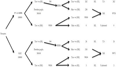 Cost-effectiveness of portable-automated ABR for universal neonatal hearing screening in India